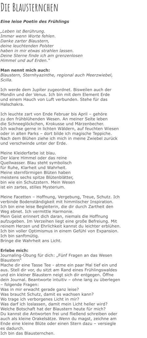 Die Blausternchen  Eine leise Poetin des Frühlings  „Leben ist Berührung. Immer wenn Worte fehlen. Danke zarter Blaustern, deine leuchtenden Polster haben in mir etwas strahlen lassen. Deine Sterne finde ich am grenzenlosen Himmel und auf Erden.“  Man nennt mich auch: Blaustern, Sternhyazinthe, regional auch Meerzwiebel, Scilla.  Ich werde dem Jupiter zugeordnet. Bisweilen auch der Mondin und der Venus. Ich bin mit dem Element Erde und einem Hauch von Luft verbunden. Stehe für das Halschakra.  Ich leuchte zart von Ende Februar bis April – gehöre zu den frühblühenden Wesen. An meiner Seite leben die Schneeglöckchen, Krokusse und Märzenbecher. Ich wachse gerne in lichten Wäldern, auf feuchten Wiesen oder in alten Parks – dort bilde ich magische Teppiche. Nach dem Blühen ziehe ich mich in meine Zwiebel zurück und verschwinde unter der Erde.  Meine Kleiderfarbe ist blau. Der klare Himmel oder das reine Quellwasser. Blau steht symbolisch für Ruhe, Klarheit und Wahrheit. Meine sternförmigen Blüten haben meistens sechs spitze Blütenblätter, bin wie ein Schutzstern. Mein Wesen ist ein zartes, stilles Mysterium.  Meine Facetten – Hoffnung, Vergebung, Treue, Schutz. Ich verbinde Bodenständigkeit mit himmlischer Inspiration. Ich bin eine leise Begleiterin, die dir durch Zartheit den Weg ebnet. Ich vermittle Harmonie. Mein Geist erinnert dich daran, niemals die Hoffnung aufzugeben. Im Verzeihen liegt eine große Befreiung. Mit reinem Herzen und Ehrlichkeit kannst du leichter erblühen. Ich bin voller Optimismus in einem Gefühl von Expansion. Ich bin sanftmütig. Bringe die Wahrheit ans Licht.  Erlebe mich: Journaling-Übung für dich: „Fünf Fragen an das Wesen Blaustern“ Mache dir eine Tasse Tee - atme ein paar Mal tief ein und aus. Stell dir vor, du sitzt am Rand eines Frühlingswaldes und ein kleiner Blaustern neigt sich dir entgegen. Öffne dein Journal. Beantworte intuitiv – ohne lang zu überlegen – folgende Fragen: Was in mir erwacht gerade ganz leise? Was braucht Schutz, damit es wachsen kann? Wo trage ich verborgenes Licht in mir? Was darf ich loslassen, damit mein Licht heller wird? Welche Botschaft hat der Blaustern heute für mich? Du kannst die Antworten frei und fließend schreiben oder auch als kleine Orakelsätze. Wenn du magst, zeichne am Ende eine kleine Blüte oder einen Stern dazu – versiegle es dadurch. Ich bin das Blausternchen.