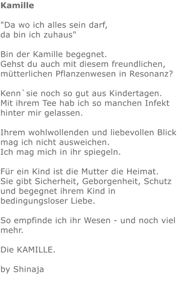 Kamille  "Da wo ich alles sein darf,  da bin ich zuhaus"    Bin der Kamille begegnet.  Gehst du auch mit diesem freundlichen, mütterlichen Pflanzenwesen in Resonanz?  Kenn`sie noch so gut aus Kindertagen.  Mit ihrem Tee hab ich so manchen Infekt hinter mir gelassen.  Ihrem wohlwollenden und liebevollen Blick mag ich nicht ausweichen. Ich mag mich in ihr spiegeln.   Für ein Kind ist die Mutter die Heimat.  Sie gibt Sicherheit, Geborgenheit, Schutz und begegnet ihrem Kind in bedingungsloser Liebe.   So empfinde ich ihr Wesen - und noch viel mehr.   Die KAMILLE.   by Shinaja
